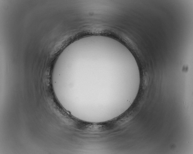 X0000111250497200907161409