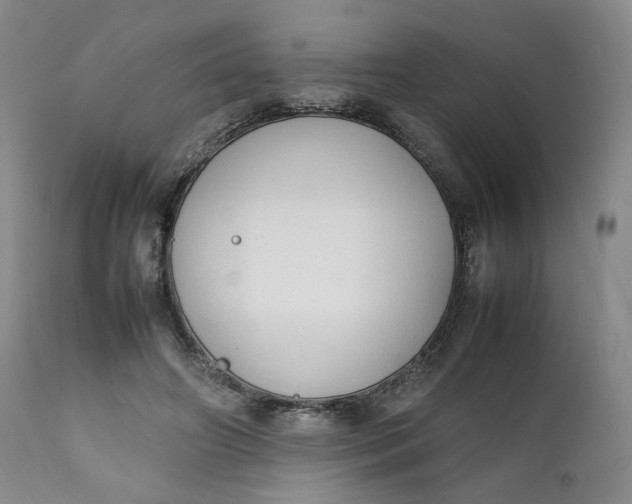 X0000111250498200907161409