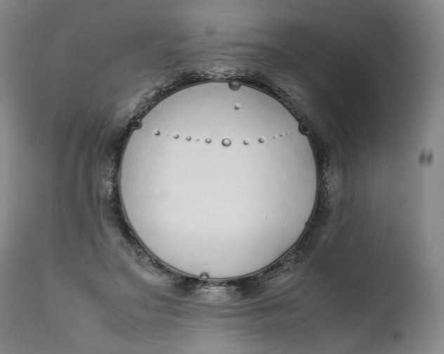 X0000111250499200907161409