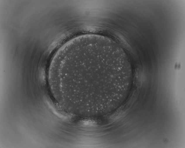 X0000111250500200907161409