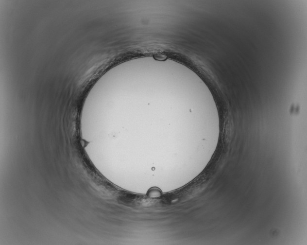 X0000111250501200907161409