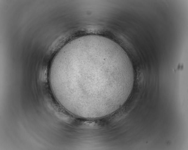 X0000111250502200907161409