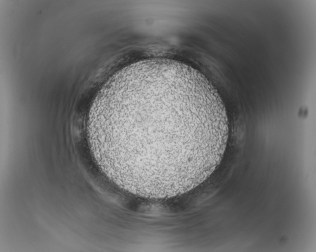 X0000111250503200907161409