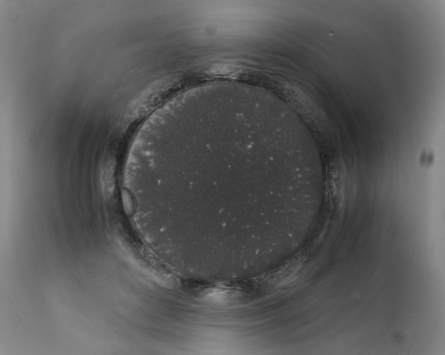 X0000111250504200907161409