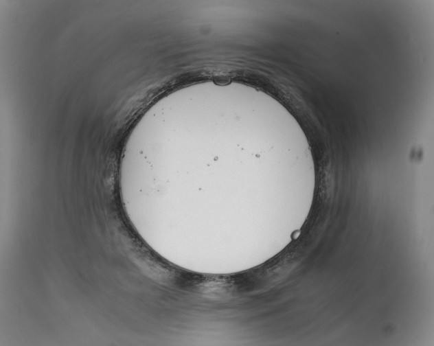 X0000111250505200907161409