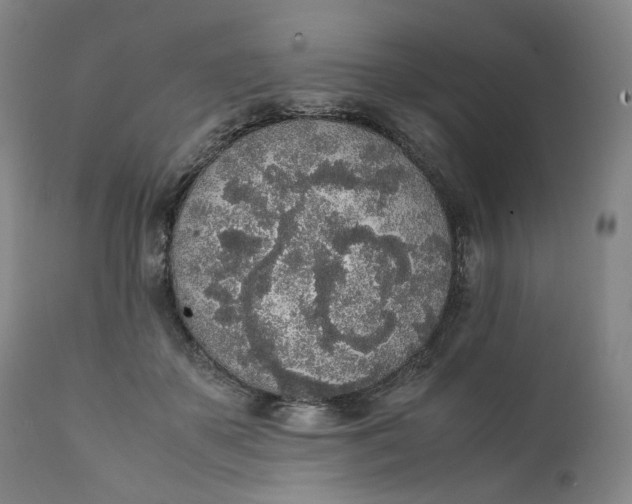 X0000111250507200907161409