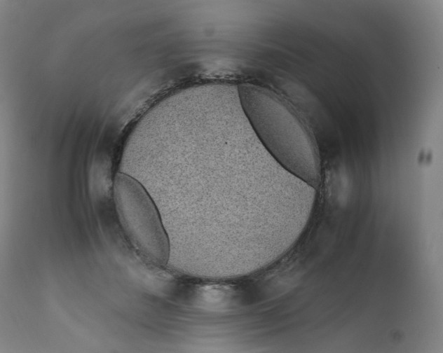 X0000111250508200907161409