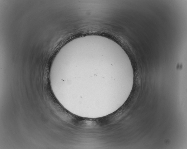 X0000111250509200907161409