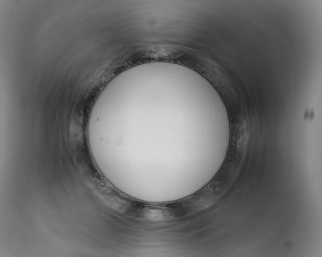 X0000111250510200907161409