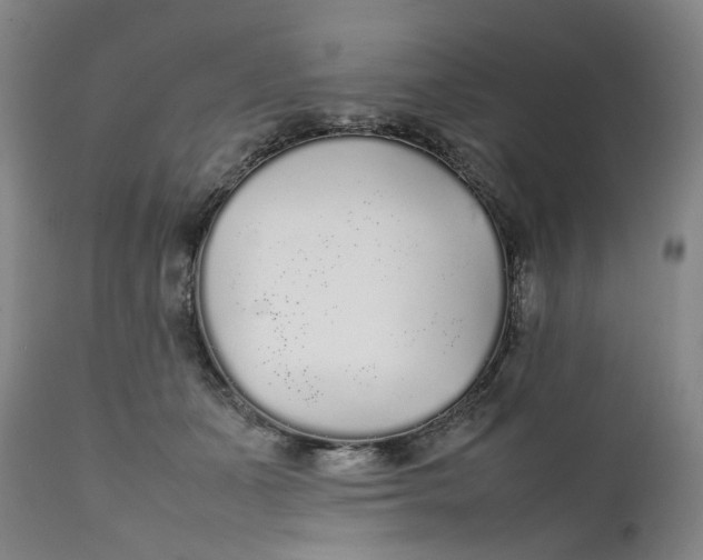 X0000111250511200907161409