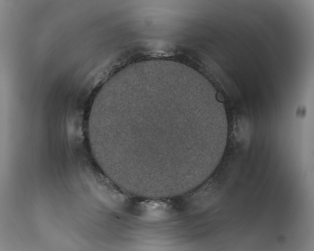 X0000111250512200907161409