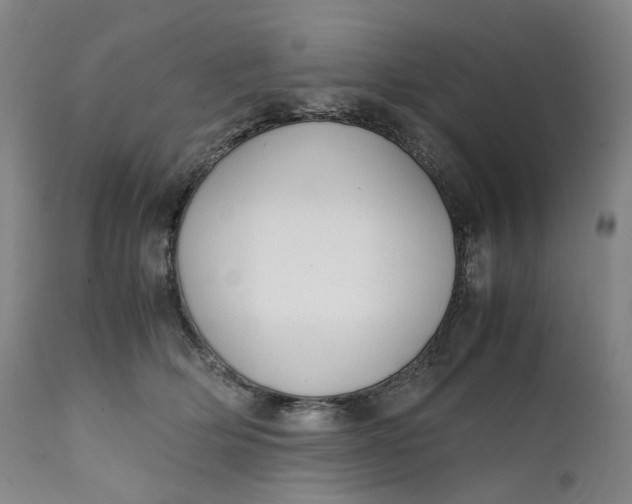 X0000111250514200907161409