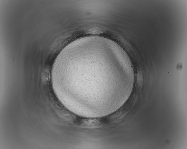 X0000111250517200907161409