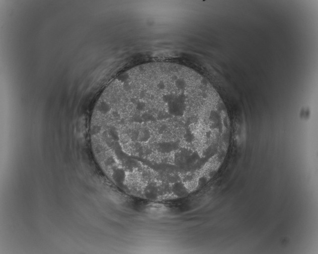 X0000111250519200907161409