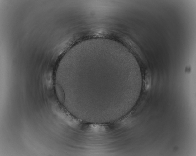 X0000111250520200907161409