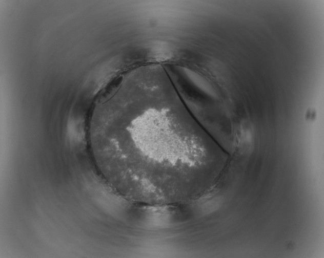 X0000111250524200907161409