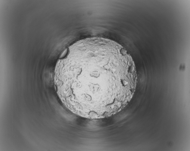 X0000111250527200907161409