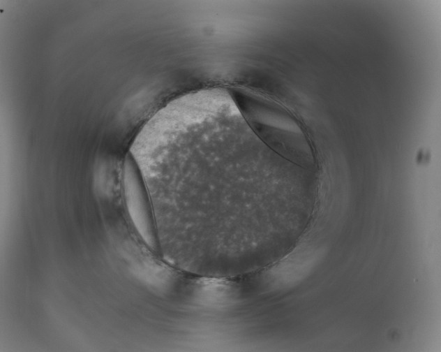 X0000111250528200907161409