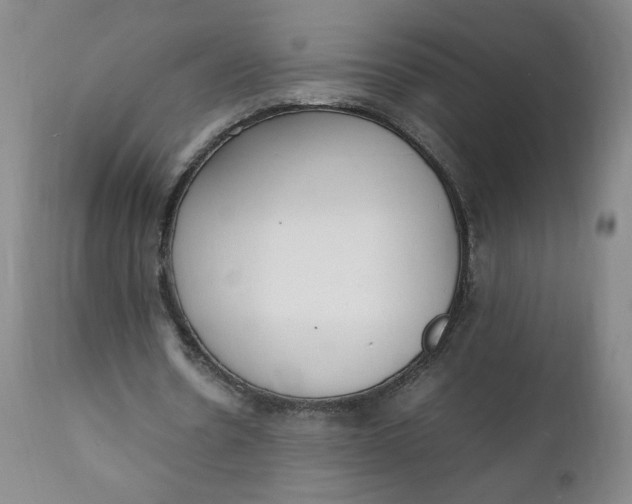 X0000111250530200907161408