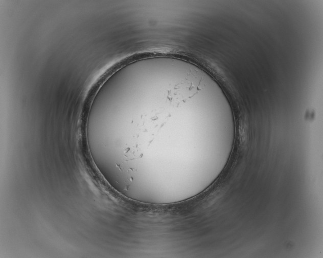 X0000111250532200907161408