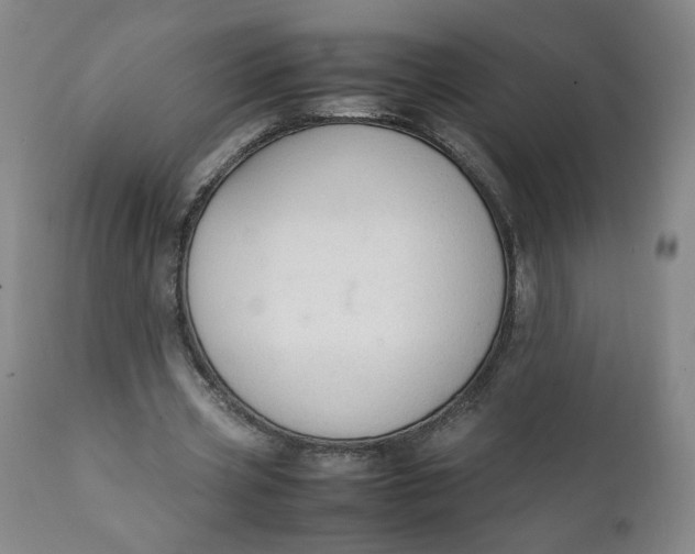 X0000111250533200907161408