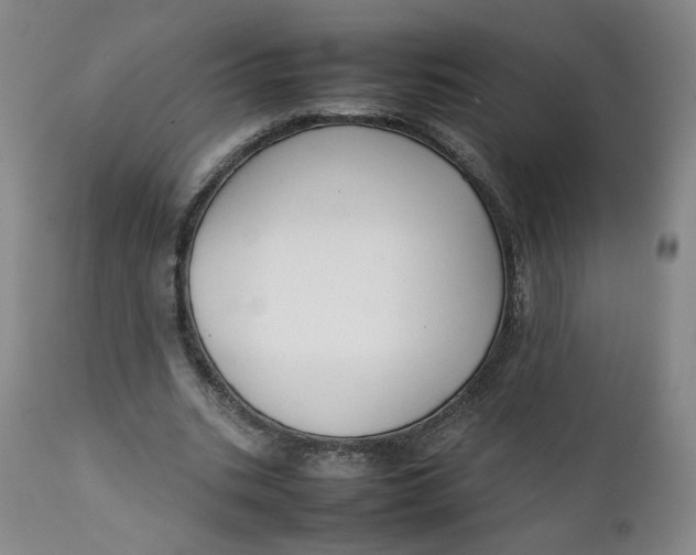 X0000111250535200907161408