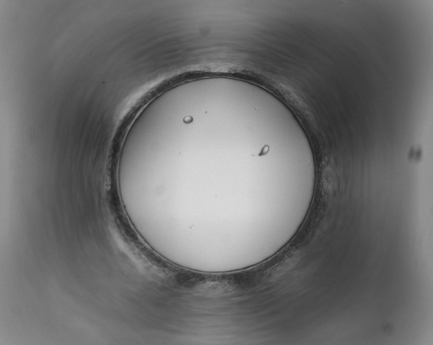 X0000111250536200907161408