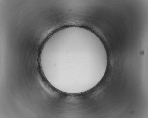 X0000111250538200907161408