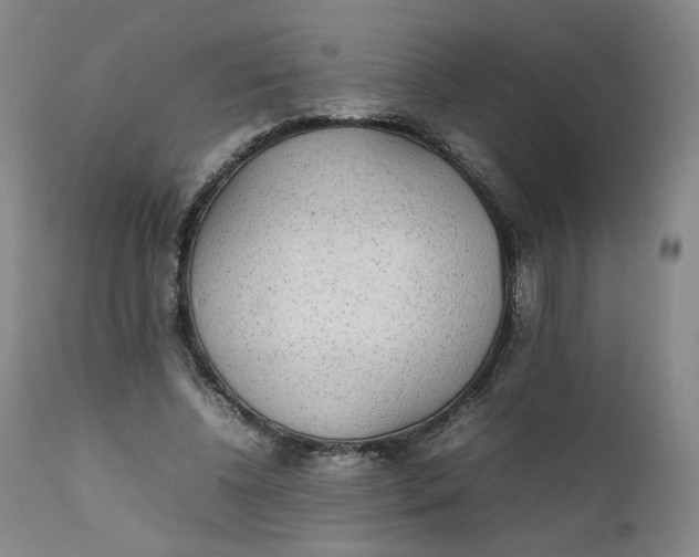 X0000111250540200907161408