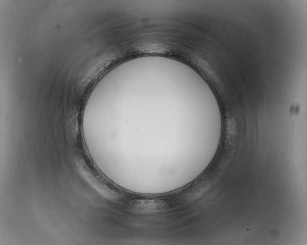 X0000111250541200907161408