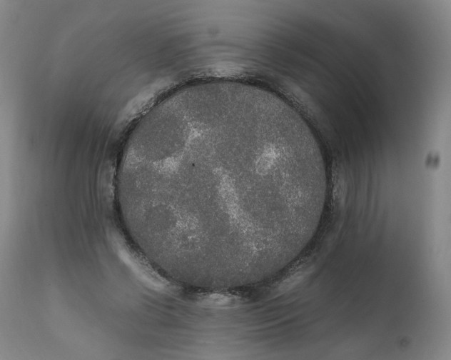 X0000111250542200907161408