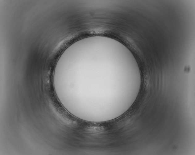 X0000111250543200907161408