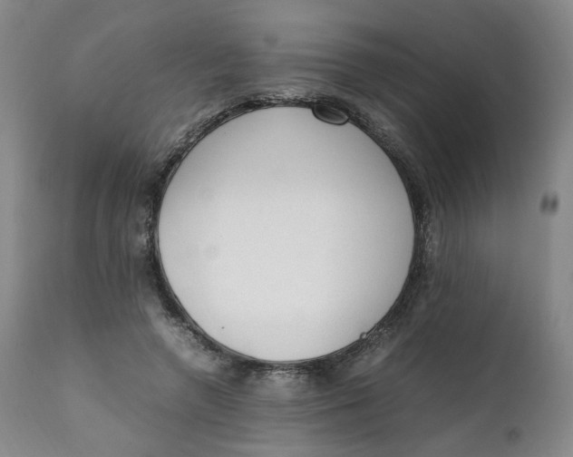 X0000111250546200907161408