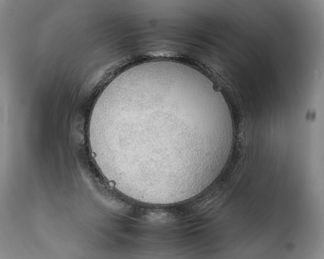 X0000111250547200907161408