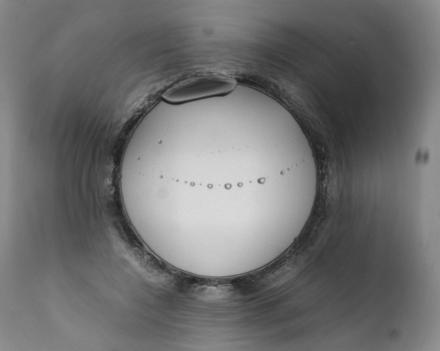 X0000111250548200907161408