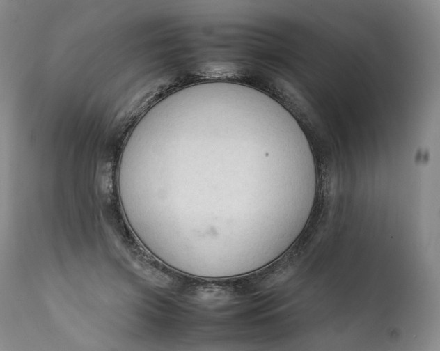 X0000111250549200907161408