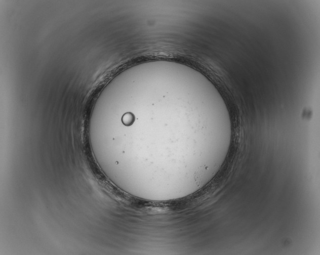 X0000111250552200907161408