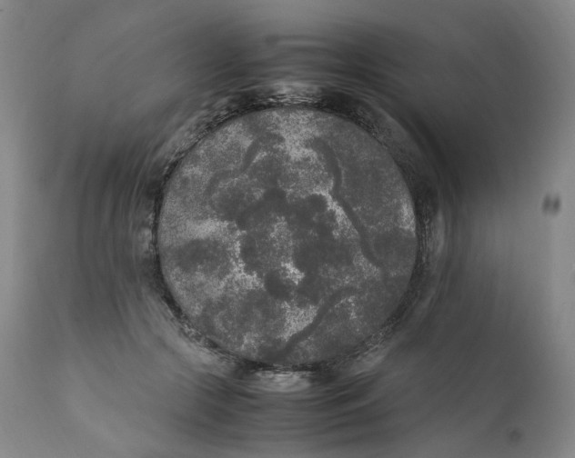 X0000111250553200907161408