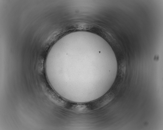 X0000111250554200907161408