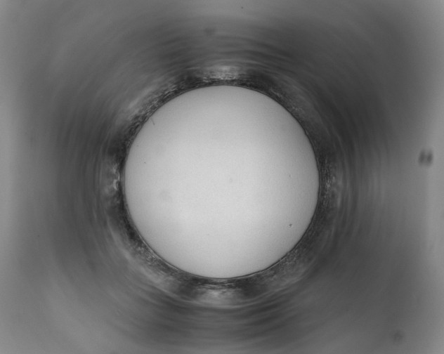 X0000111250555200907161408