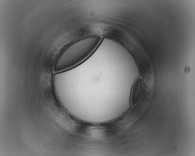 X0000111250556200907161408