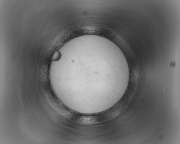 X0000111250557200907161408