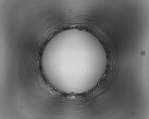 X0000111250558200907161408