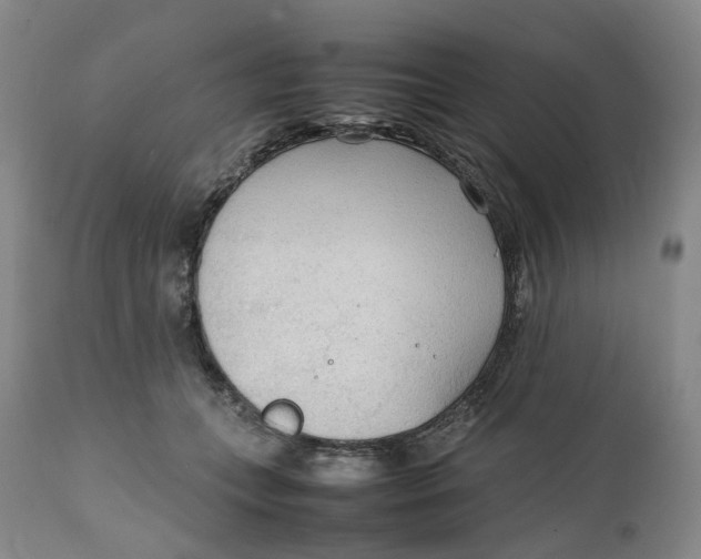 X0000111250559200907161409