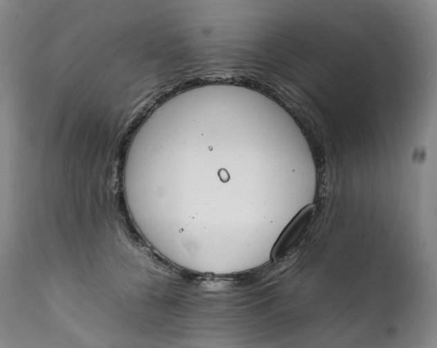 X0000111250560200907161409