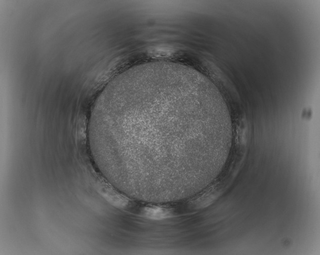 X0000111250561200907161409