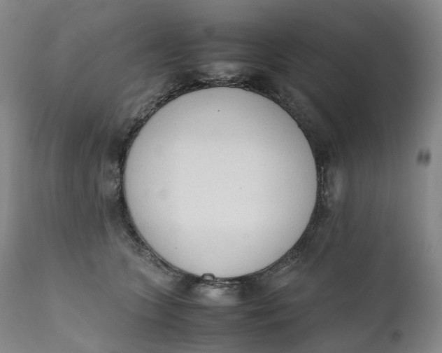 X0000111250563200907161409