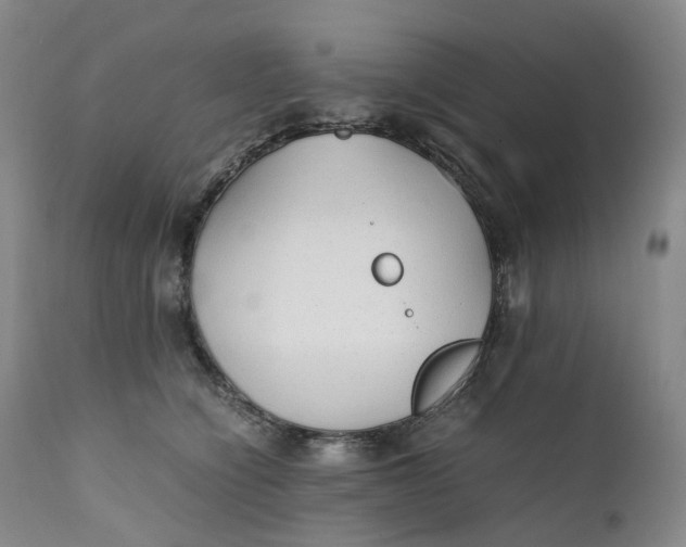 X0000111250564200907161409