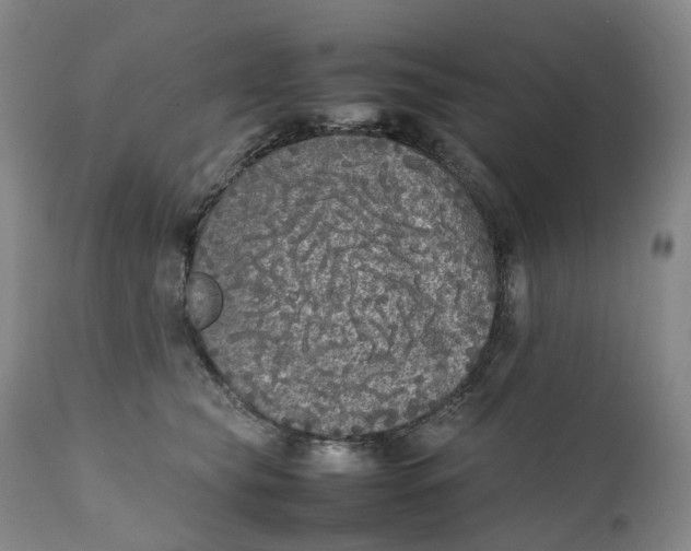 X0000111250565200907161409