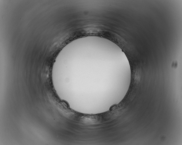 X0000111250567200907161409